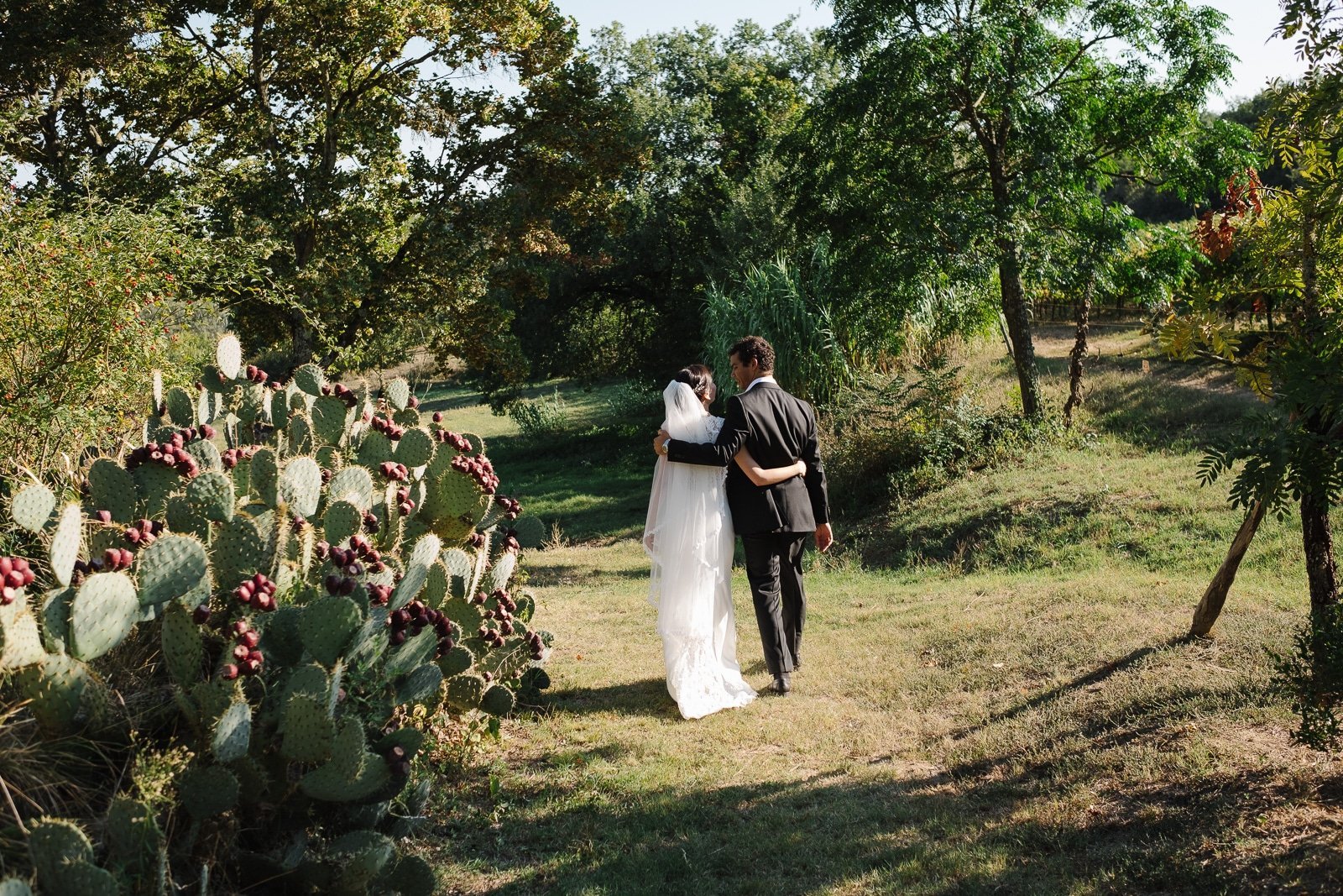 Aileen and Brandon walking among the olive trees