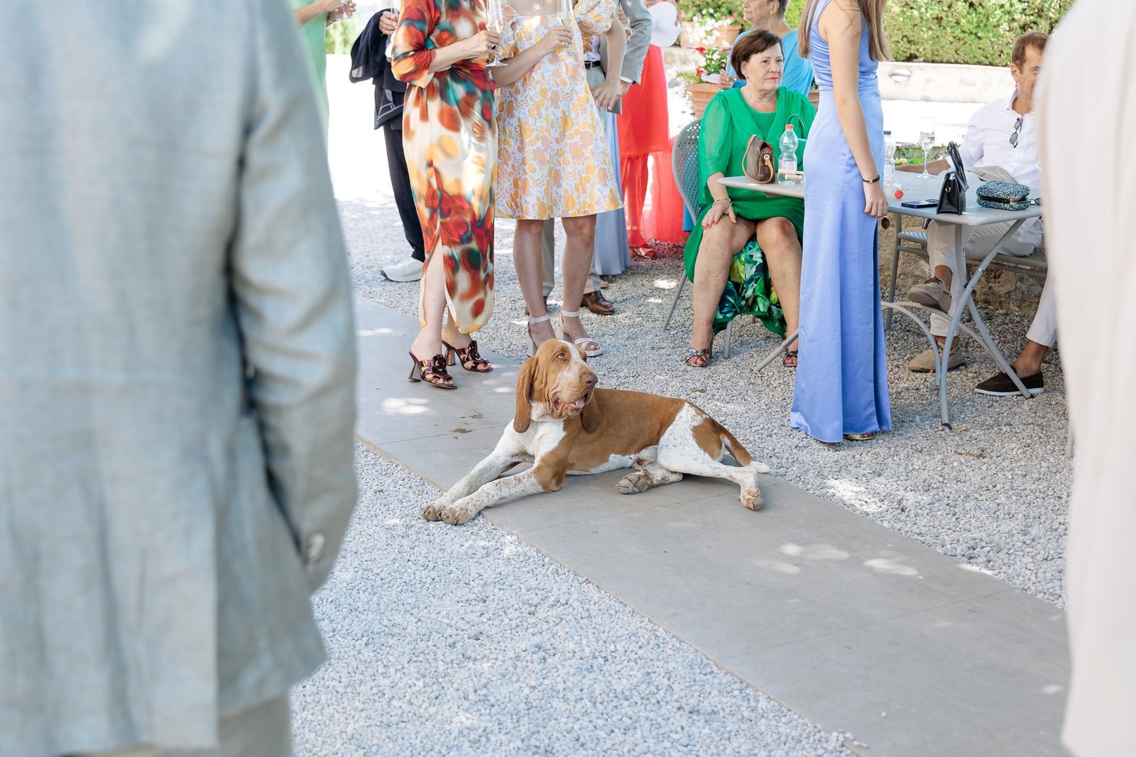 Child playing among the guests