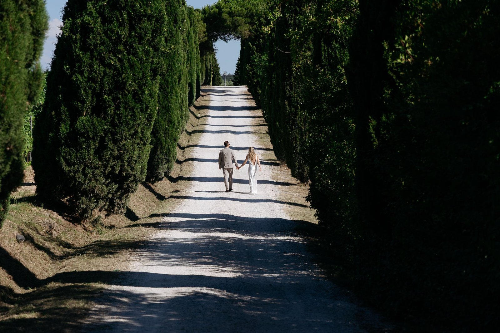 Bride and groom walking among the cypresses at Terre di Nano, Pienza