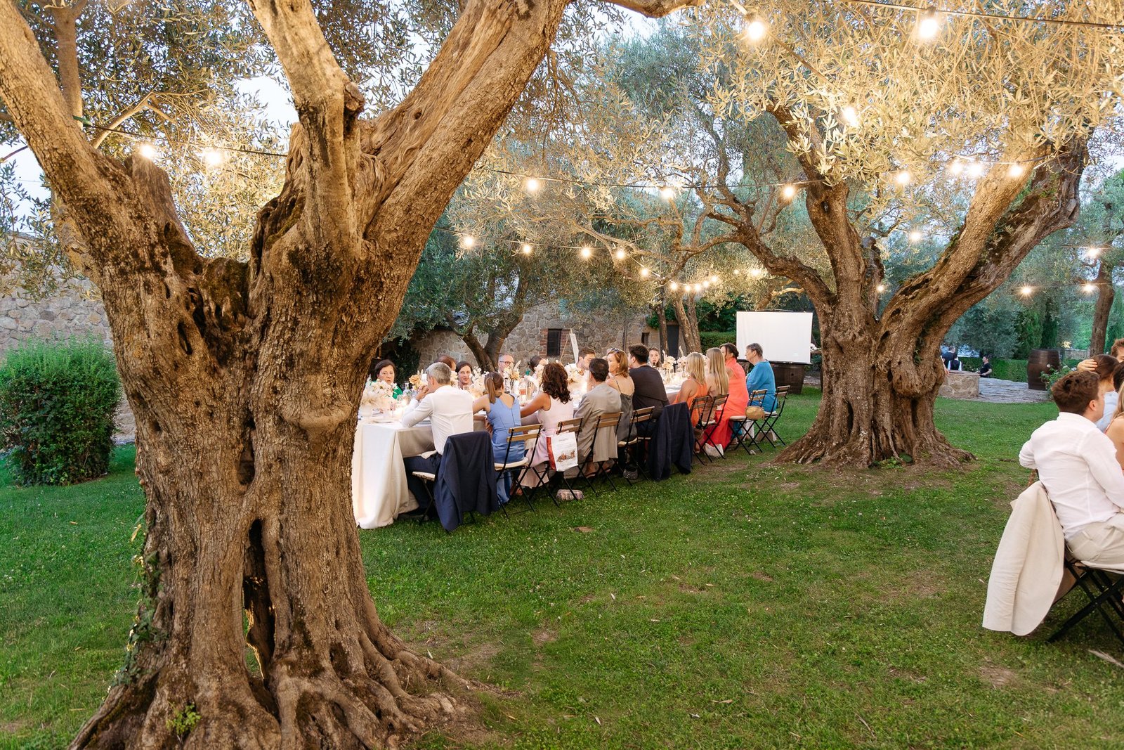 Dinner under the olive trees at dusk