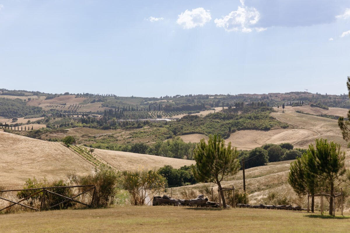 Rolling hills of the Val d'Orcia seen from Il Rigo